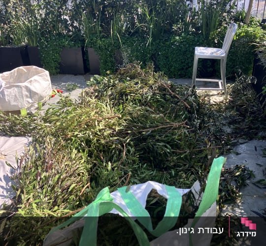ערימת גזם, שקי גינה וצמחים בעציצים